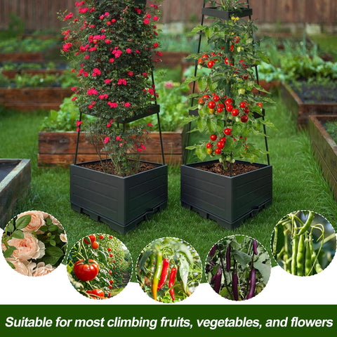Elefama self-watering reservoir maintains moisture for healthy roots with less maintenance