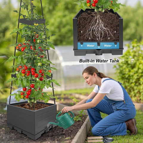Elefama tomato cage and tower support keeps climbing plants sturdy and productive