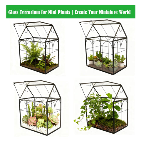 ElegantLife clear glass terrarium showcases tiny plants on desks or shelves.