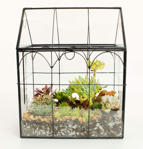 ElegantLife compact size with 7.13 x 4.8 x 8.82 inches fits any setup.