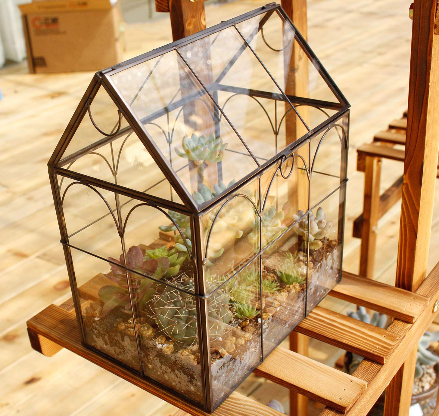 ElegantLife ideal for moss, ferns, or micro-greens in small spaces.