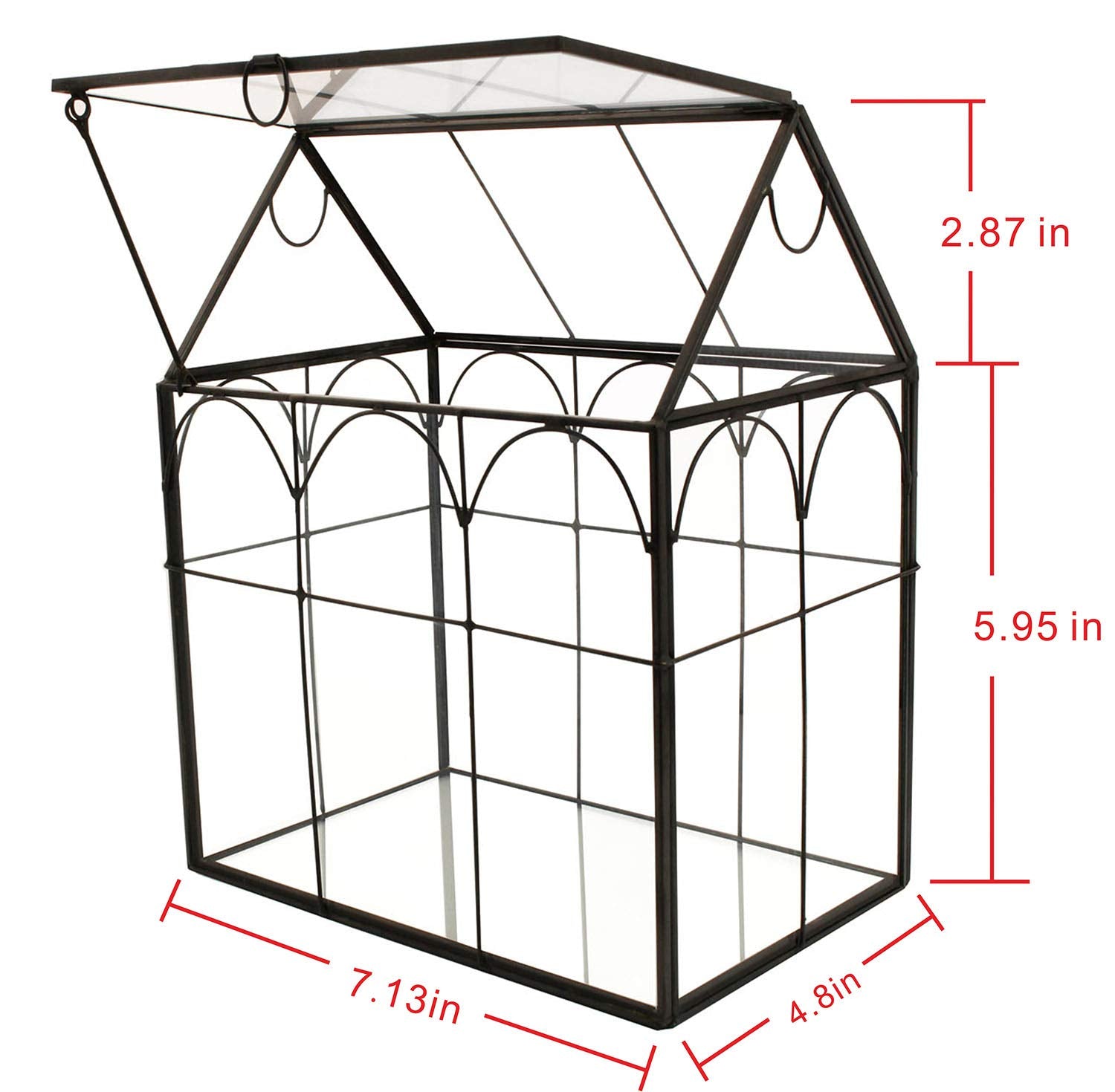 ElegantLife geometric terrarium highlights succulents for stylish home displays.