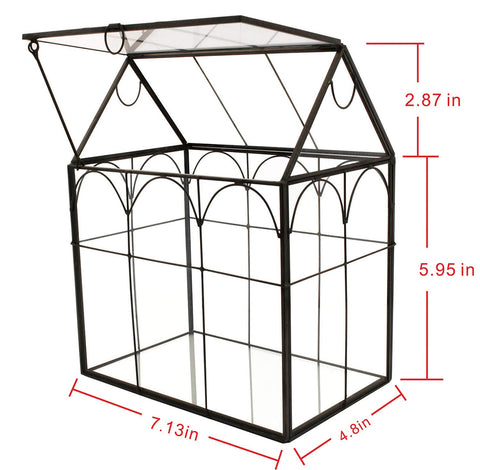 ElegantLife geometric terrarium highlights succulents for stylish home displays.