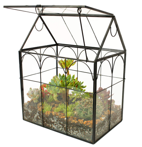 ElegantLife glass house terrarium with lift-off roof for easy plant arrangement.