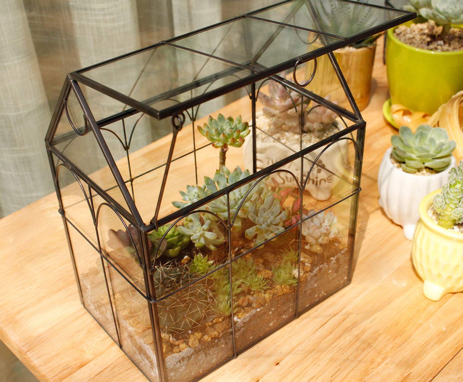 ElegantLife versatile terrarium doubles as a decorative vase or gift box.