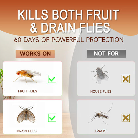 Long-lasting bait extends indoor pest control with fewer replacements.