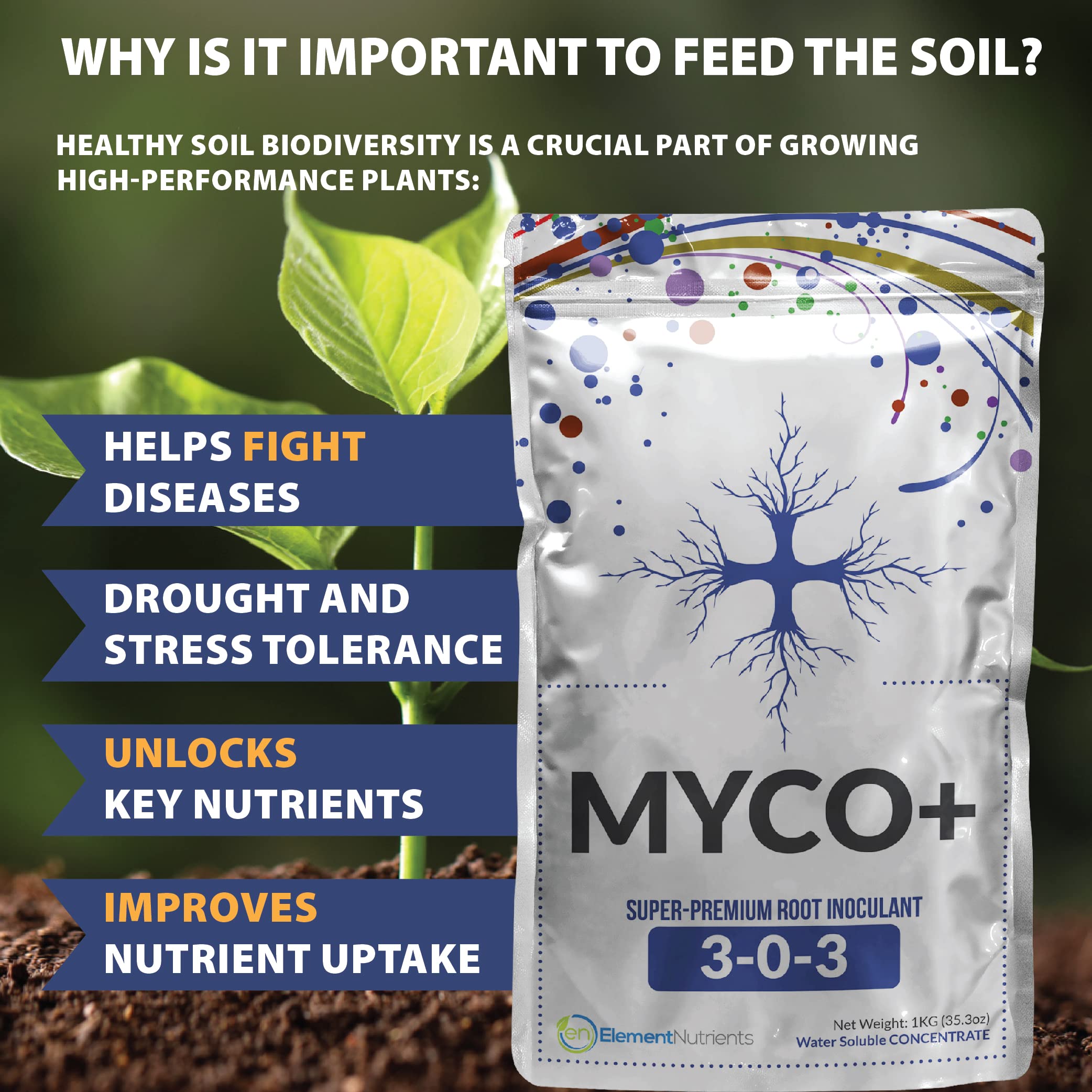 Hydroponic application of MYCO+ for robust root growth