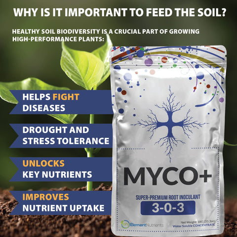 Hydroponic application of MYCO+ for robust root growth