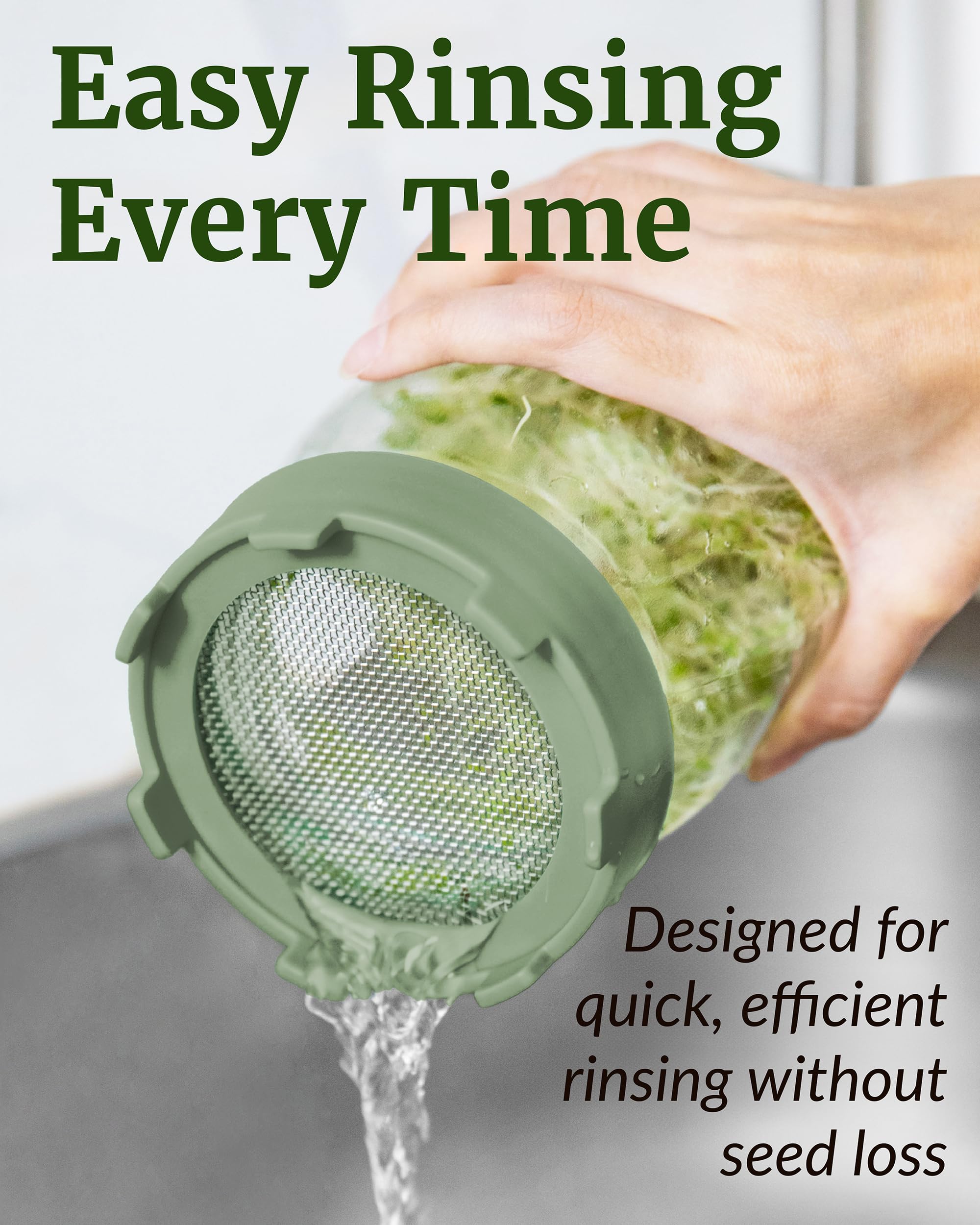 Elementi glass jars provide clear visibility to monitor sprout progress