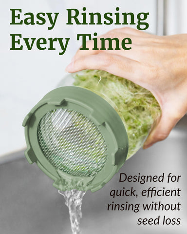 Elementi glass jars provide clear visibility to monitor sprout progress