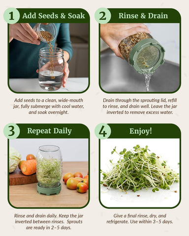 Elementi plastic sprouting lids for convenient daily rinsing and drain
