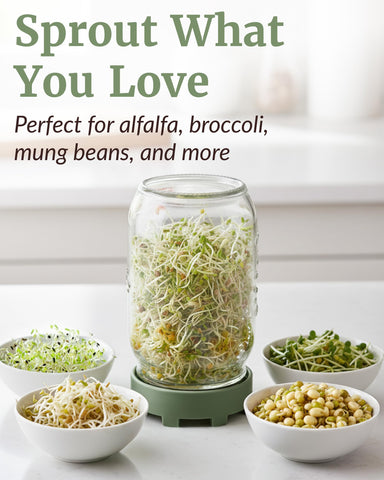 Elementi seed sprouting kit helps grow alfalfa and mung bean sprouts at home