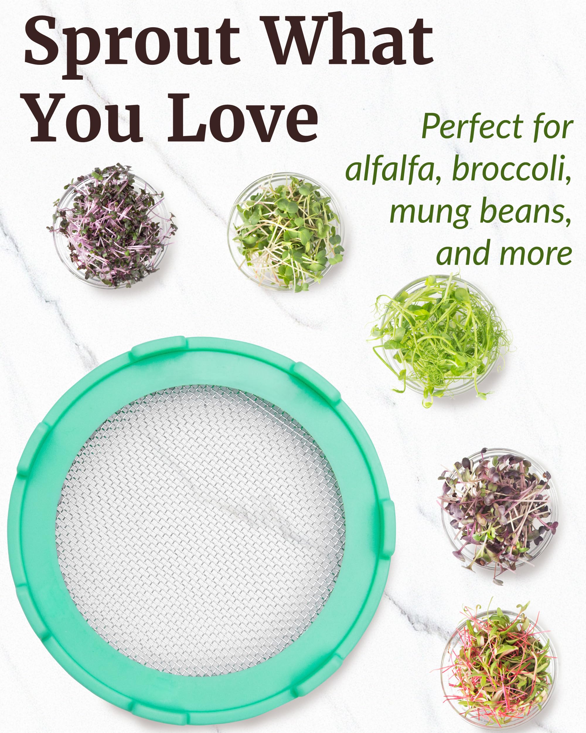 Elementi BPA-free lid highlighting safe, reusable sprouting for various seeds