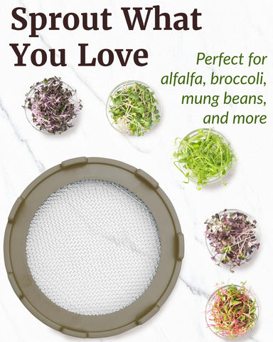 Elementi sprouting lid with BPA-free plastic for safe, reusable sprouting.