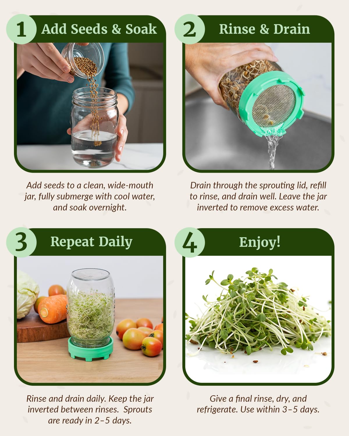 Elementi Sprouting Lids for broccoli sprouts support easy home cultivation.