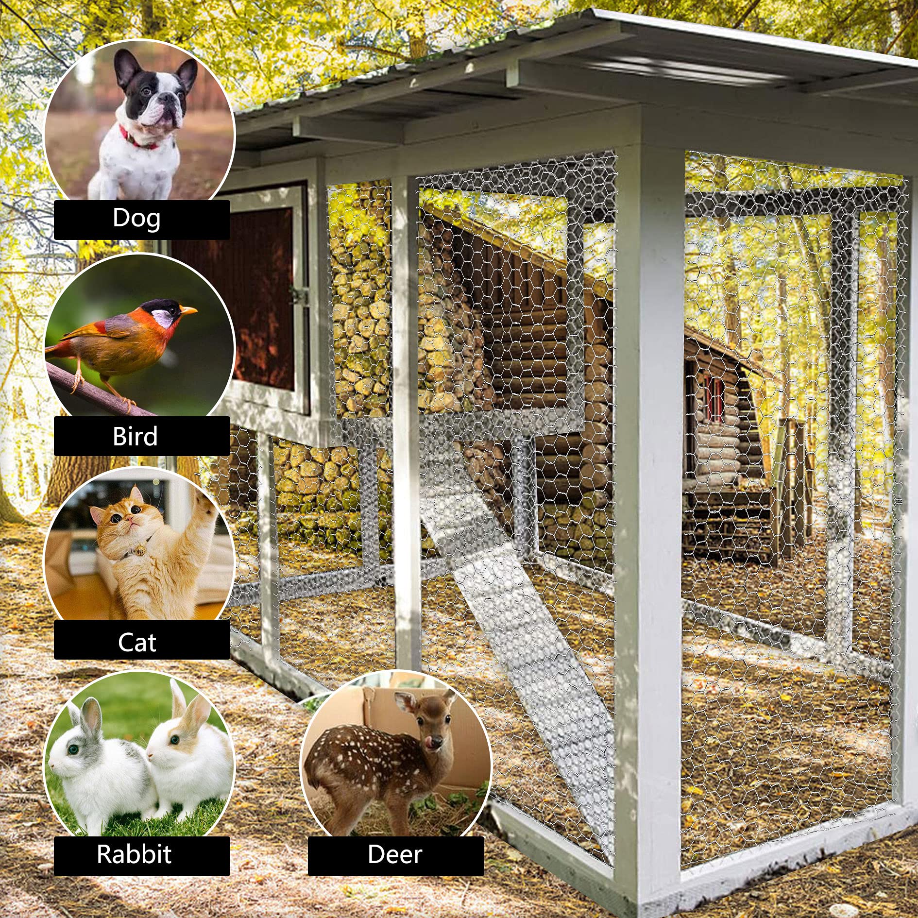 elfinrm-chicken-coop-boundary-wire-mesh helps define space and deter critters