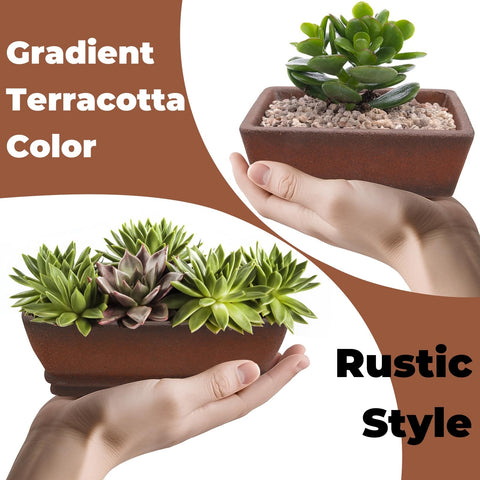 ELFULLY humidity tray rectangle underneath to balance moisture and protect surfaces.