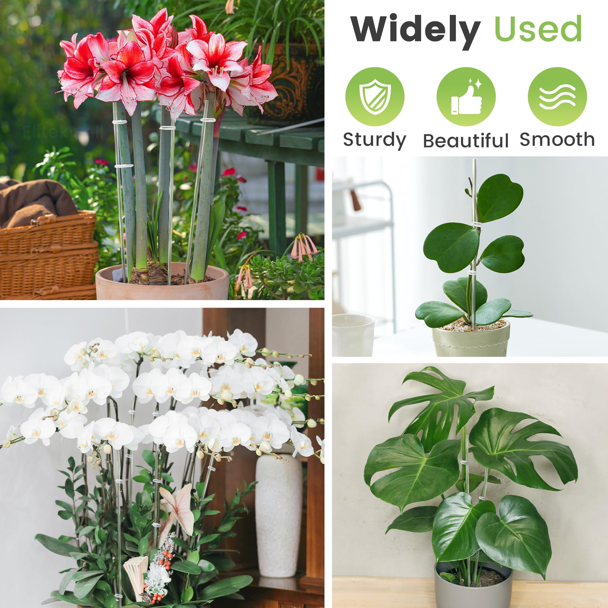 Elitekwell clear stake blends with foliage and preserves plant beauty