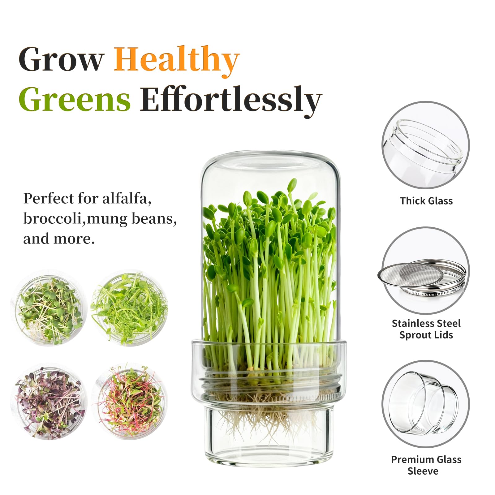 Elitrivox stainless steel lids ensure safe, chemical-free sprouts.