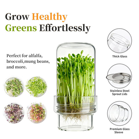 Elitrivox stainless steel lids ensure safe, chemical-free sprouts.