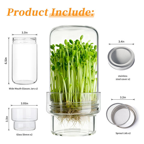 Elitrivox wide-mouth jar enables effortless sprout growth.