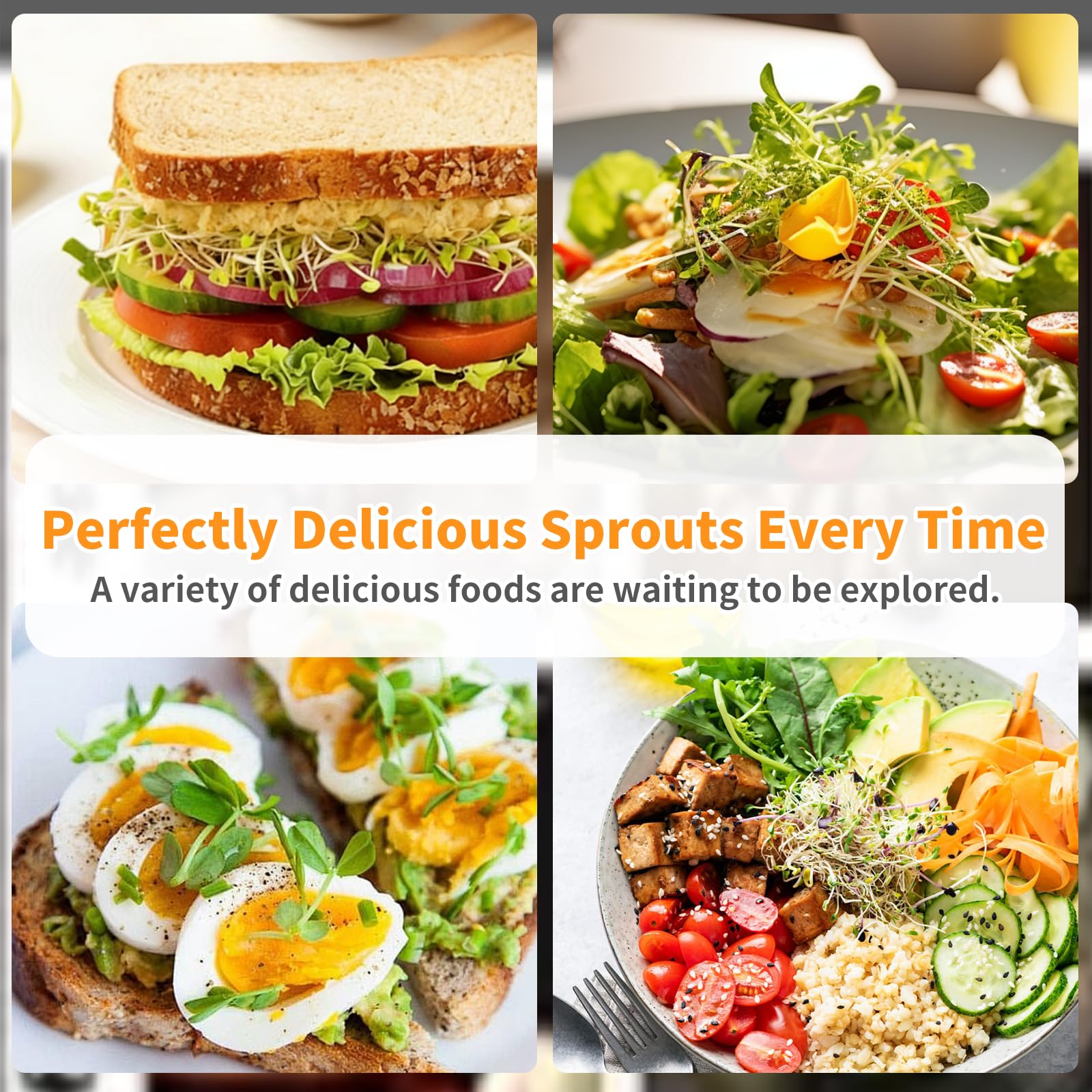 Ideal for broccoli, alfalfa, radish, and microgreens sprouting.