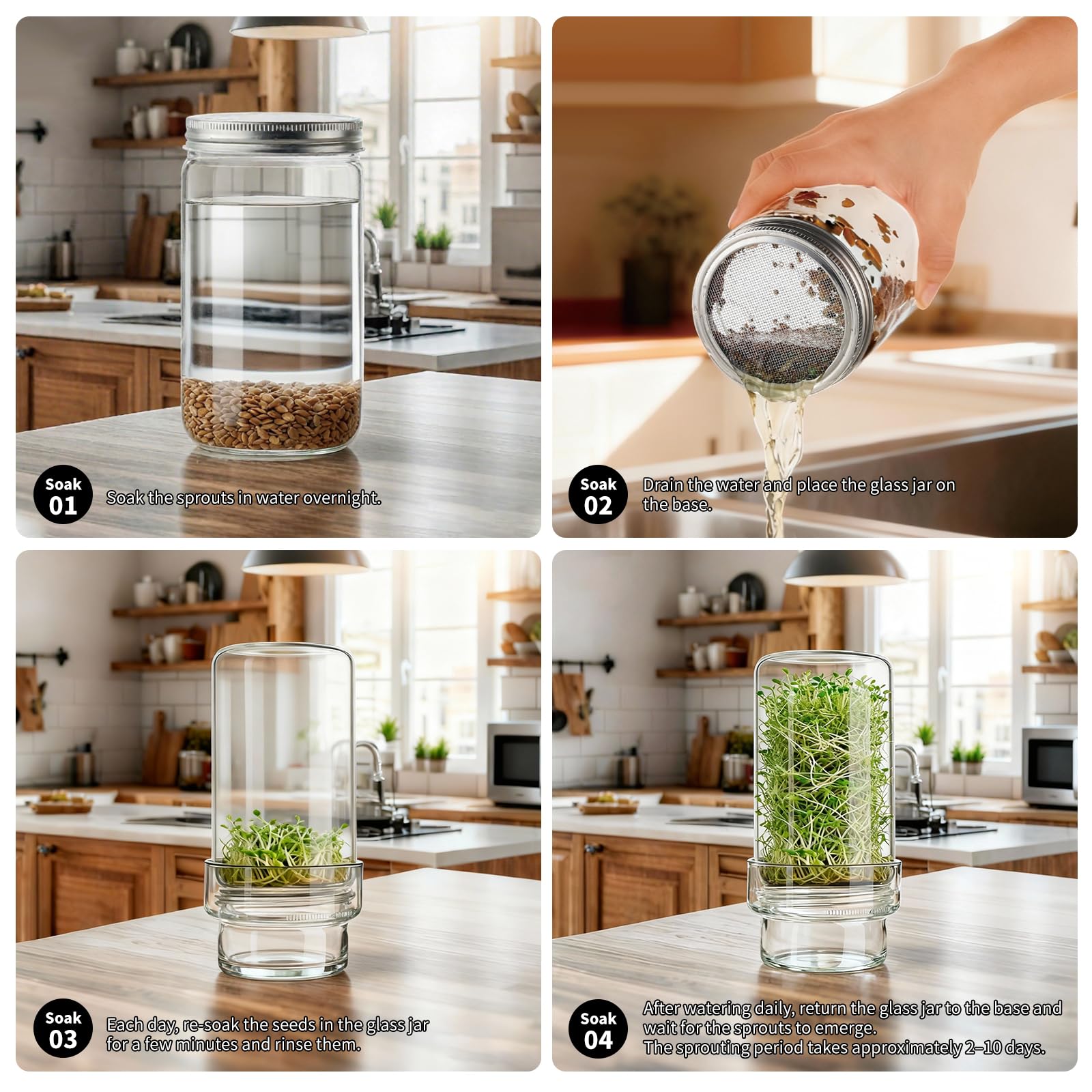 Glass, BPA-free materials ensure safe, chemical-free sprouts for salads.