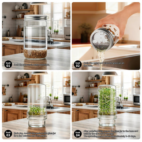 Glass, BPA-free materials ensure safe, chemical-free sprouts for salads.