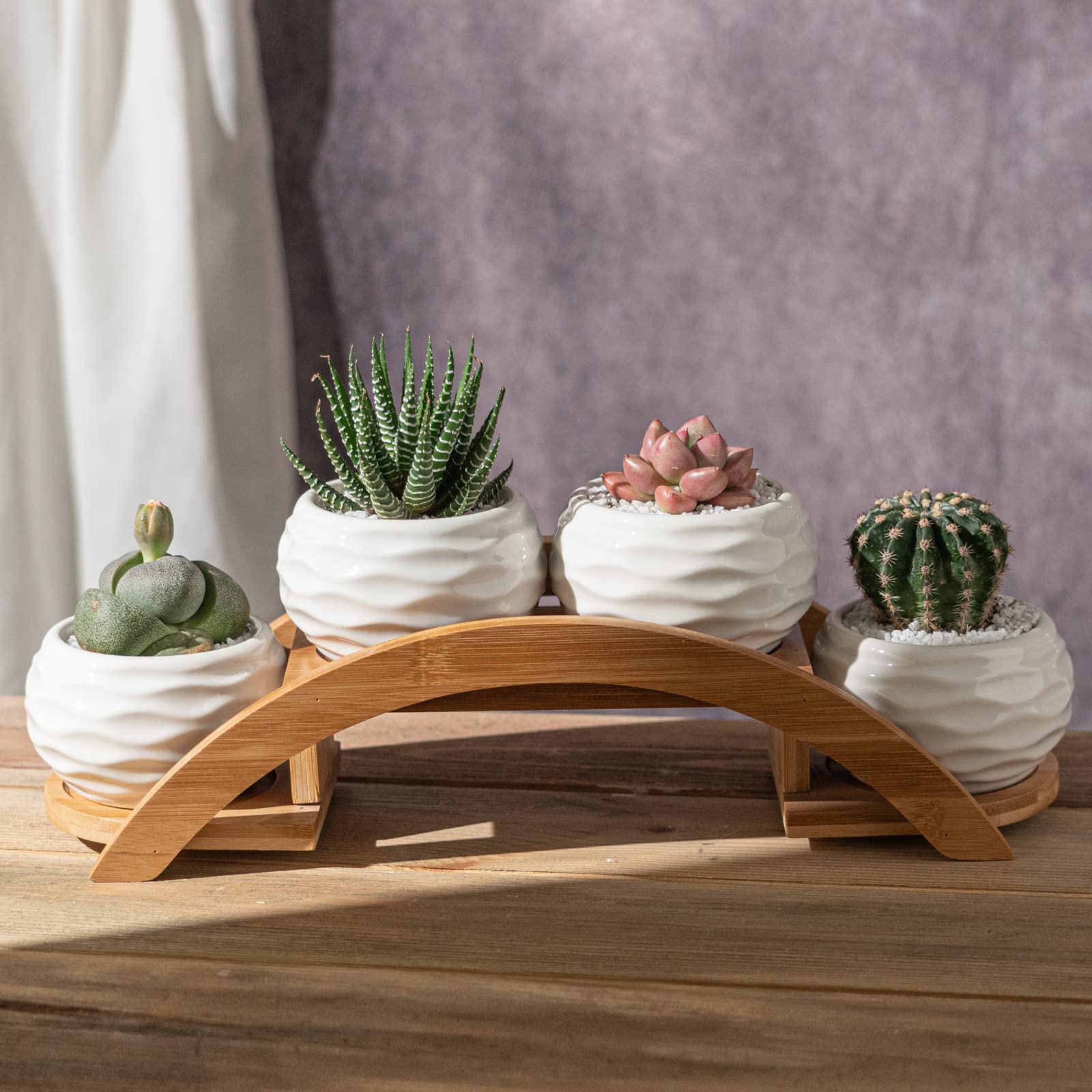 E-liu bamboo arch stand enhancing the plant display with elegance.