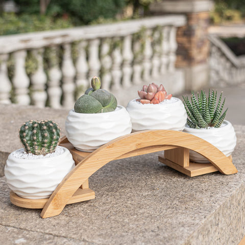 E-liu gift-ready packaging makes a thoughtful housewarming or wedding gift.