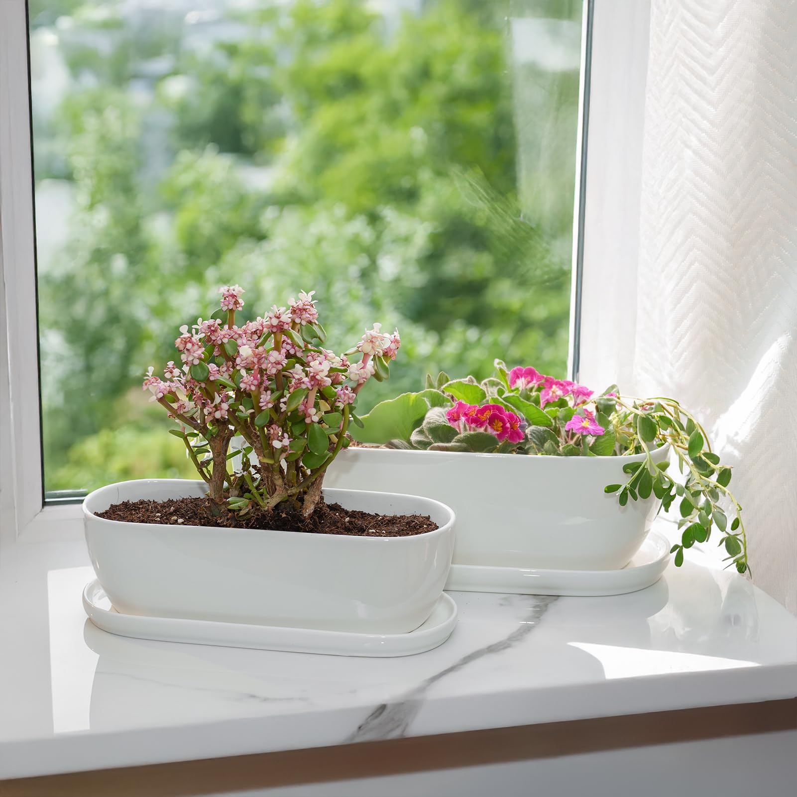 E-liu packaged planter ready for gifting to plant lovers.
