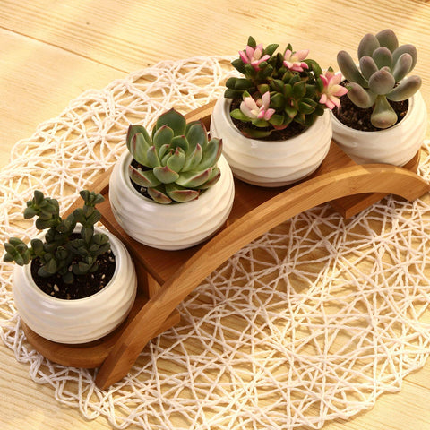 E-liu minimalist tabletop decor setup for shelves or tables.