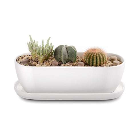 E-liu oval ceramic planter with drainage holes and saucer, ideal for herbs and succulents.