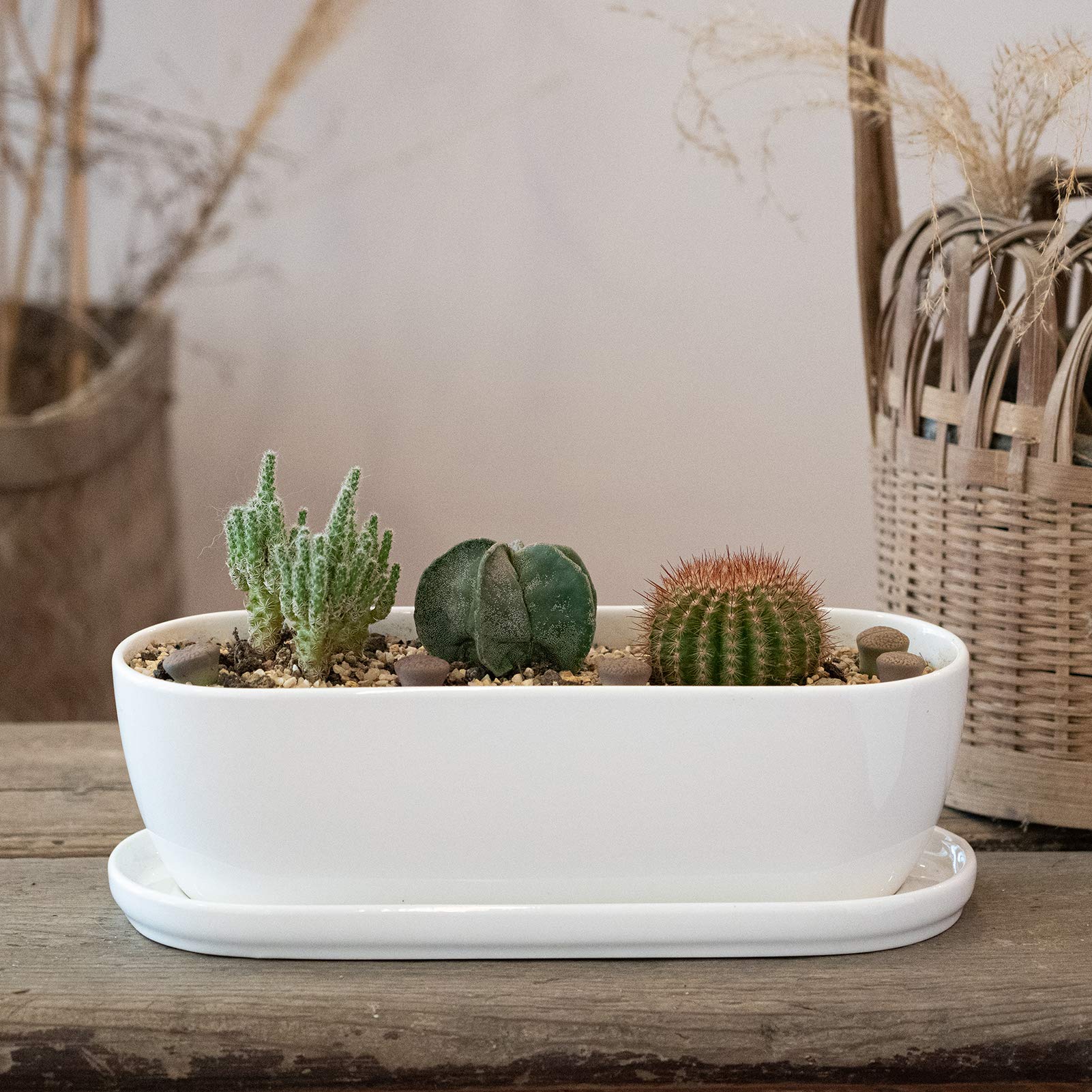 E-liu oval planter complements modern decor on shelves or tabletops.