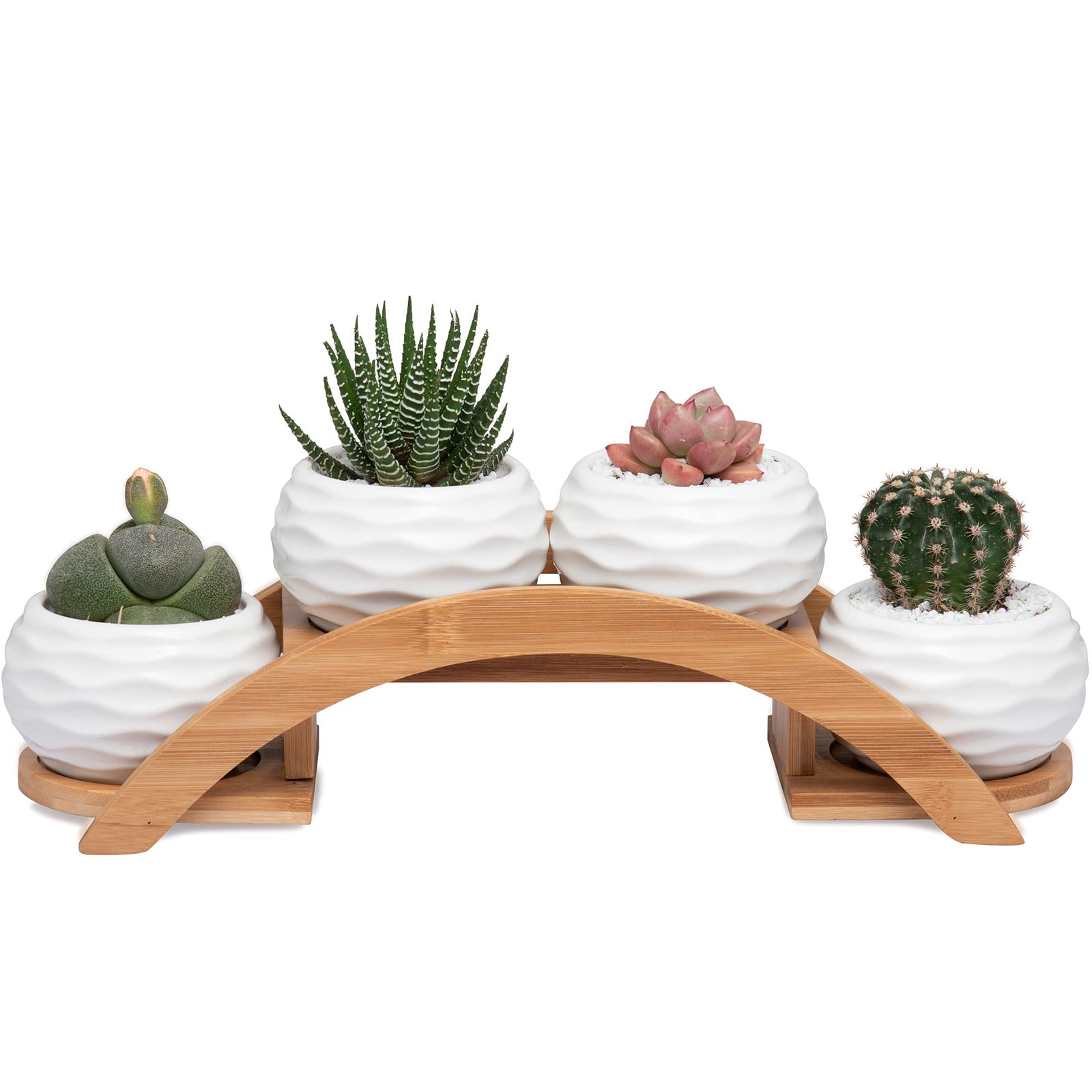 E-liu succulent pots set in white ceramic with drainage for indoor décor.