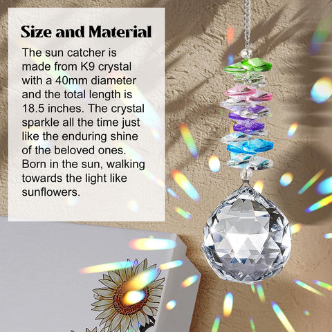 Elivida Crystal Elements catch light to create soft rainbows.