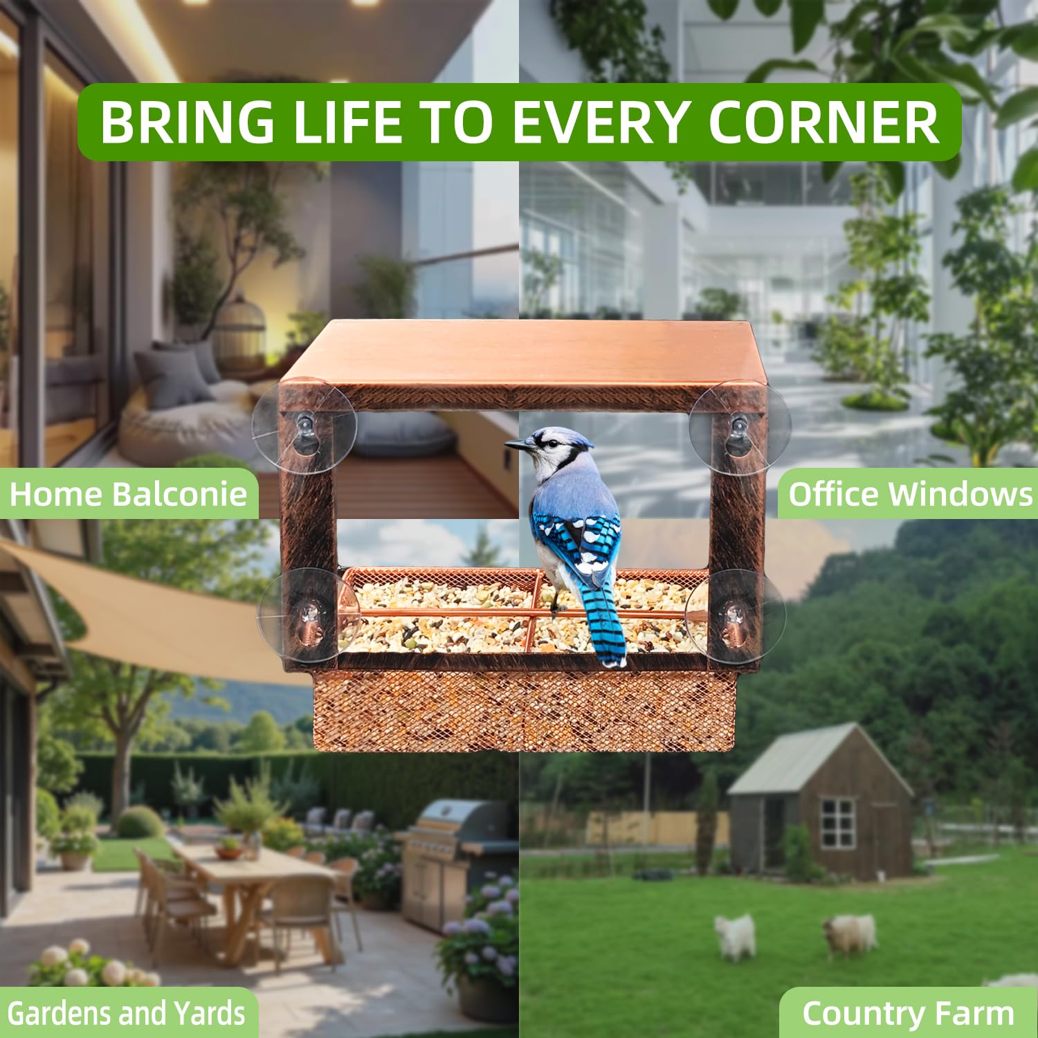 Ellfoe vibrant colors attract garden birds for viewing from inside