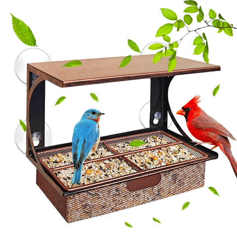 Ellfoe window bird feeder with suction cups for secure outdoor viewing