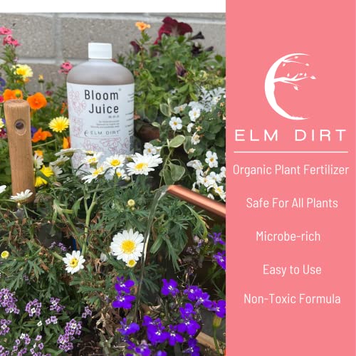 Bloom Juice being diluted in water demonstrates easy feeding for healthy growth.
