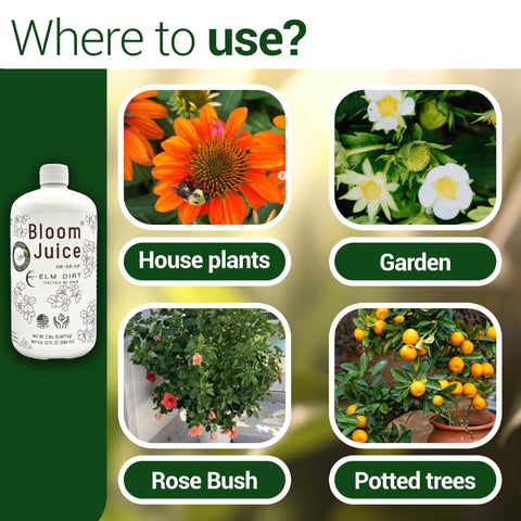 Elm Dirt Bloom Juice packaging emphasizes organic, US-made formulation.