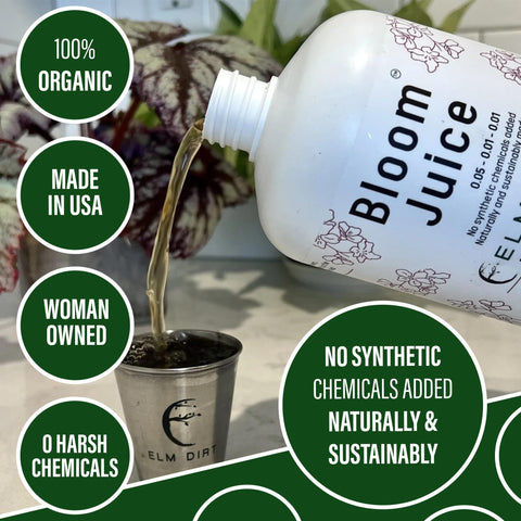Watering plants with Elm Dirt Bloom Juice for healthy growth