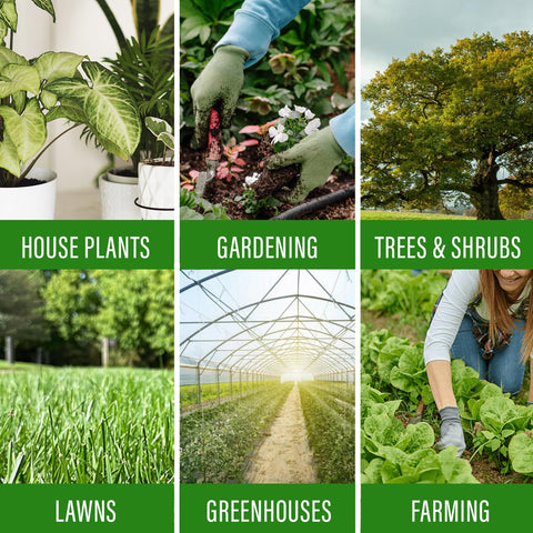 Elm Dirt Plant Juice outdoor garden featuring vibrant blooms possible benefits