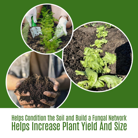 Elm Dirt Worm Castings natural-plant-food for nourishment.