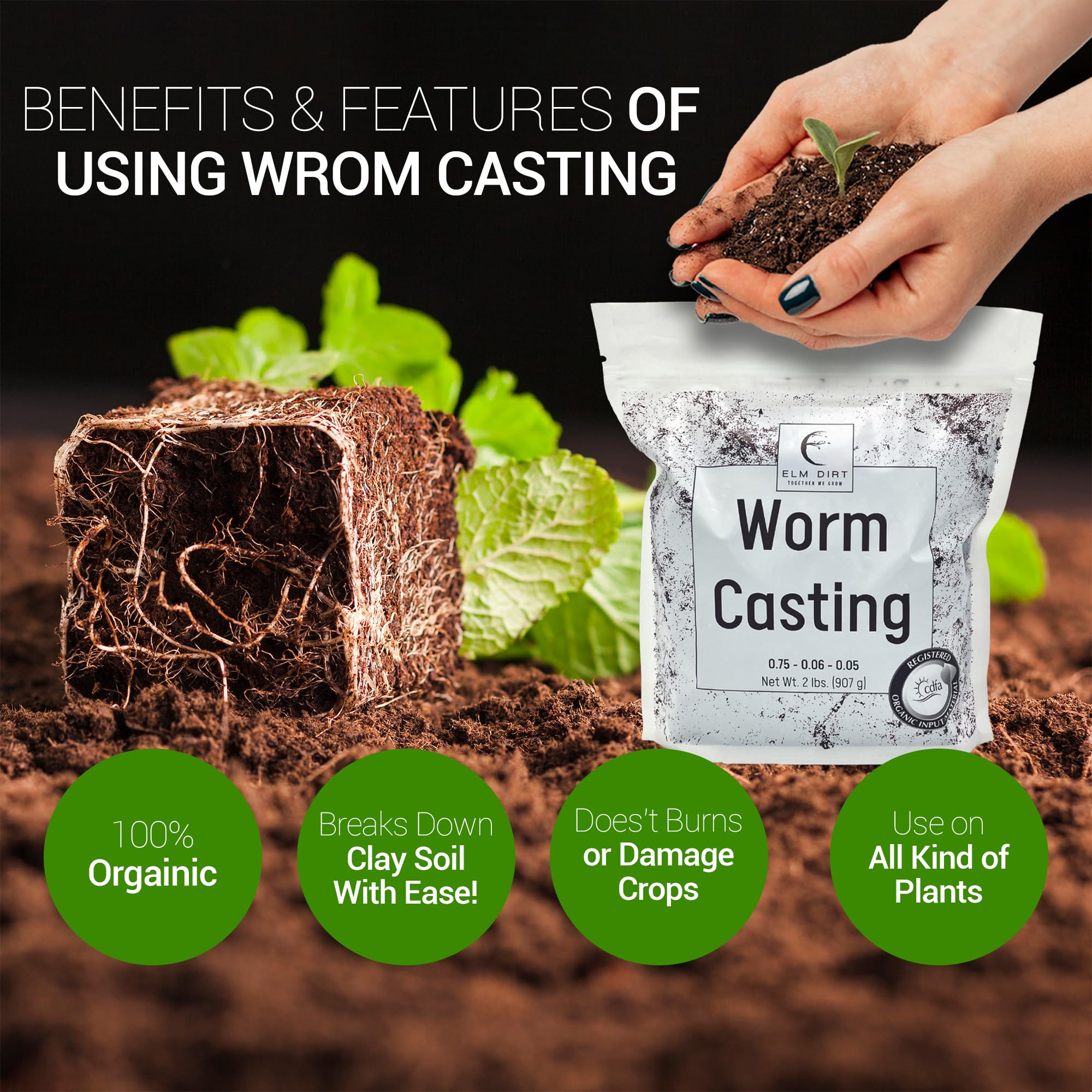 Elm Dirt Worm Castings rich-humus support soil microorganisms.