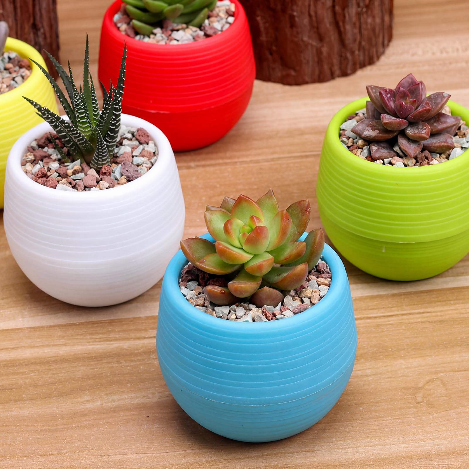 Elsjoy blue 3-inch succulent pot pairs with small cacti.