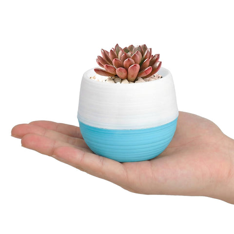 Elsjoy pink 3-inch succulent pot brightening windowsills with color.