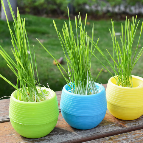 Elsjoy white 3-inch succulent pot with clean minimalist look.