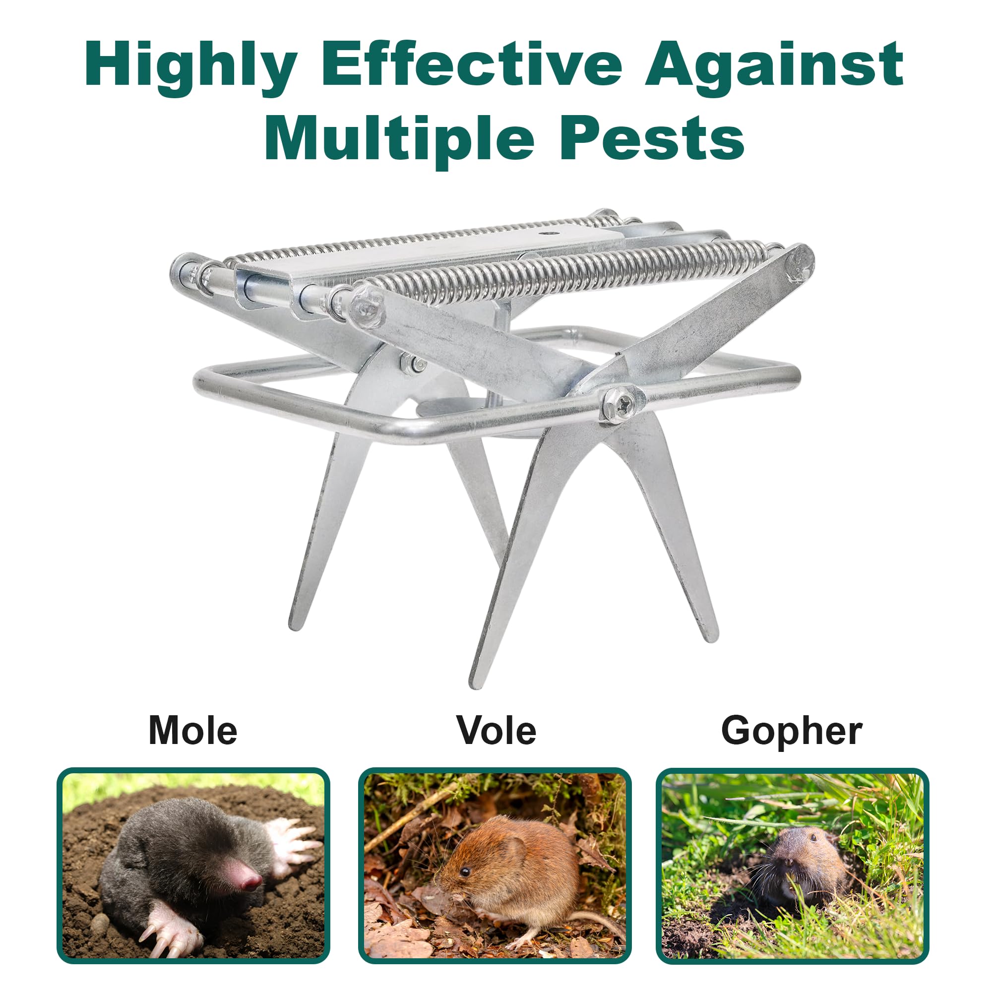 ELVUR Galvanized steel traps endure weather for year-round use.