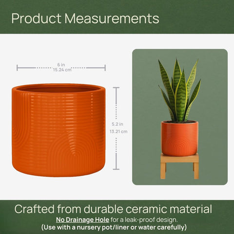 ÈMJÉ LUXE 6 inch planter on a desk with greenery for an organized workspace.