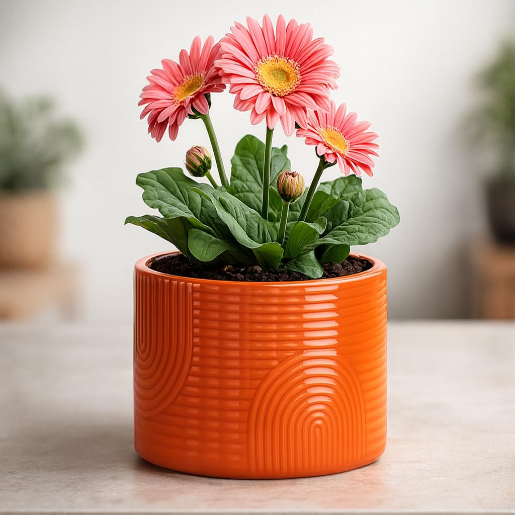 ÈMJÉ LUXE ribbed ceramic planter close-up, textured finish for modern decor.
